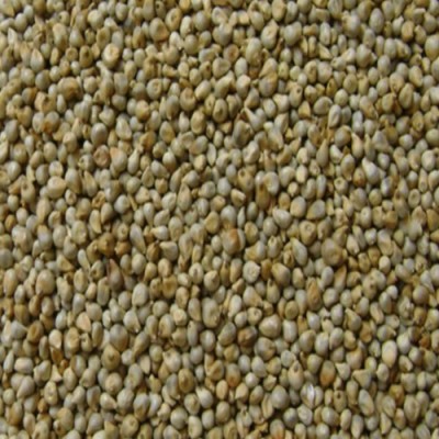 Millet Seeds