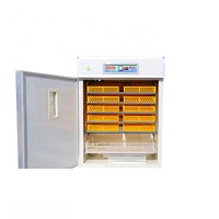 China Suppliers Automatic Chicken Egg  Poultry  Incubator For Hatching Eggs/